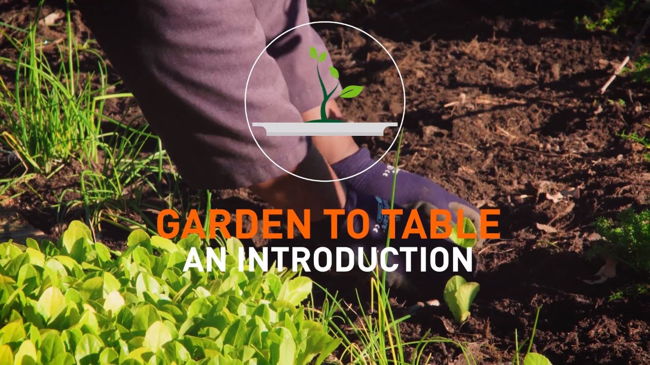 Garden to Table: Introduction