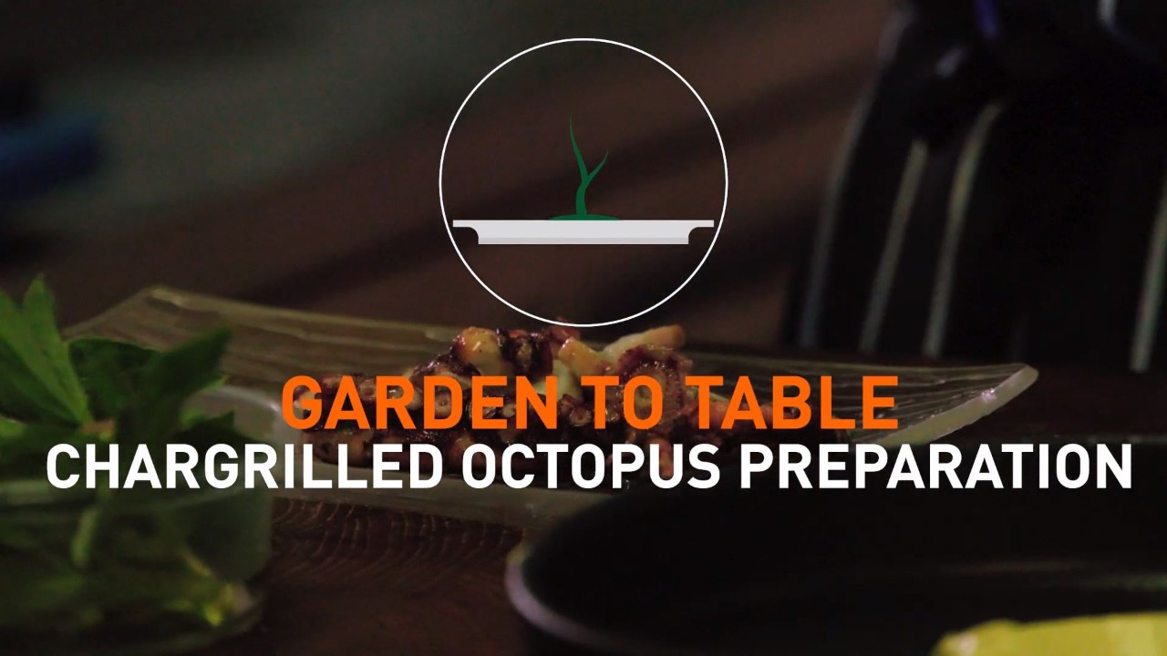 Char-grilled Octopus