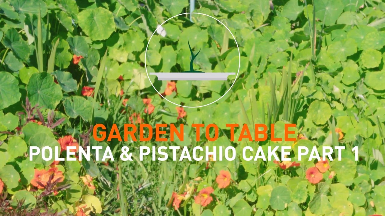 Polenta and Pistachio Vegan Cake