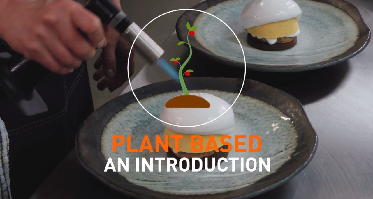 Plant Based. An Introduction