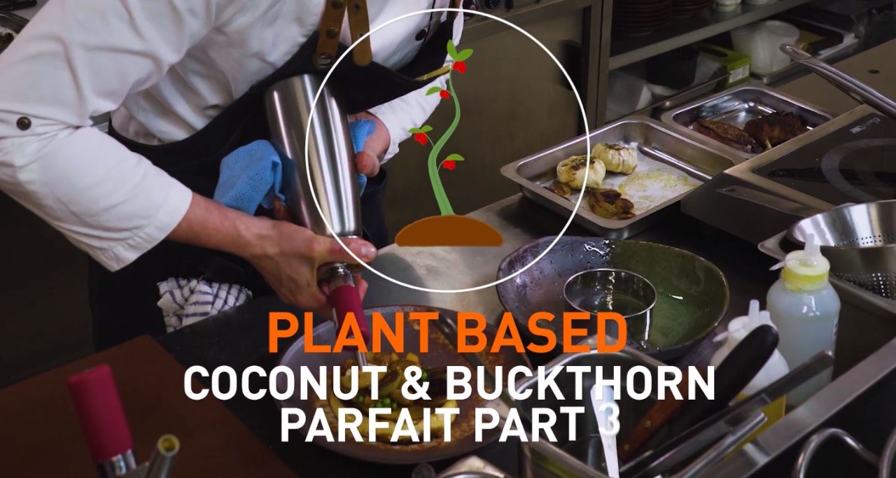Coconut & Buckthorn Parfait