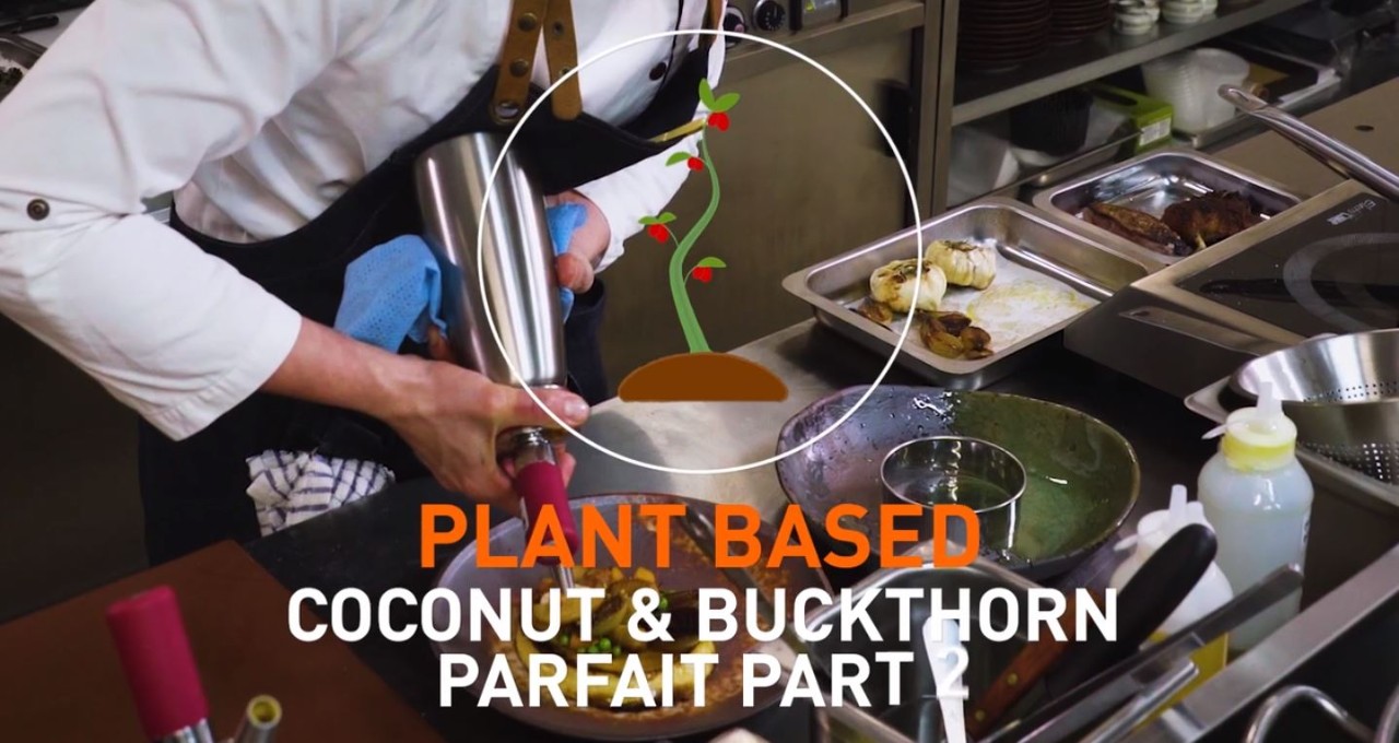 Coconut & Buckthorn Parfait